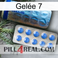 Gelée 7 40